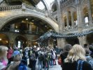 MUSEE HISTOIRE NATURELLE